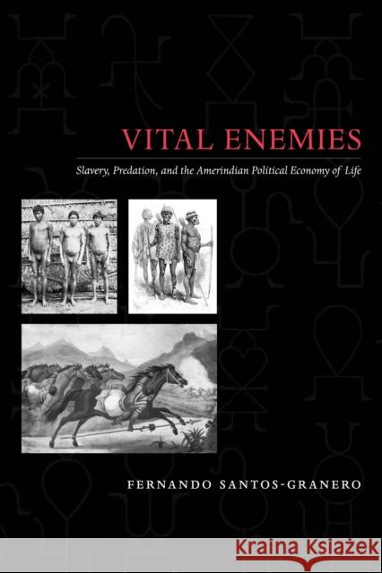 Vital Enemies: Slavery, Predation, and the Amerindian Political Economy of Life Santos-Granero, Fernando 9780292719132 University of Texas Press - książka