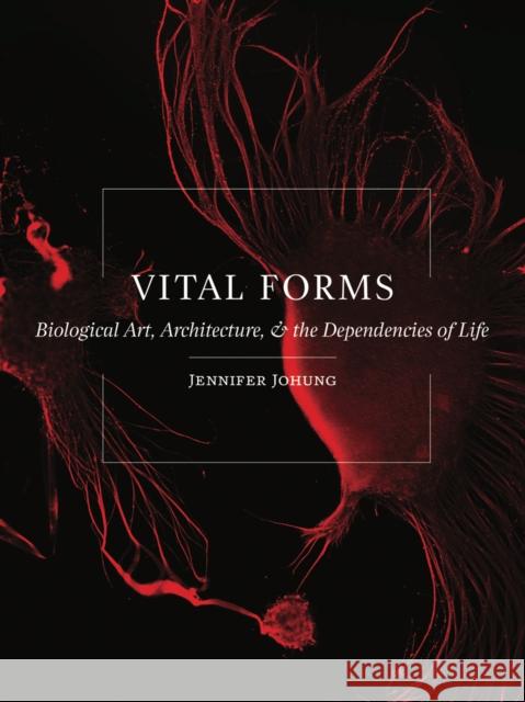 Vital Forms: Biological Art, Architecture, and the Dependencies of Life Jennifer Johung 9781517903053 University of Minnesota Press - książka