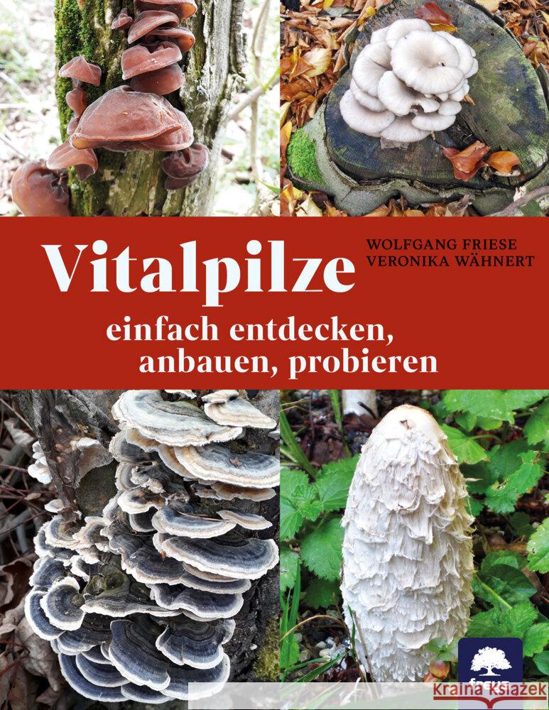 Vitalpilze Friese, Wolfgang, Wähnert, Veronika 9783990255223 Freya - książka
