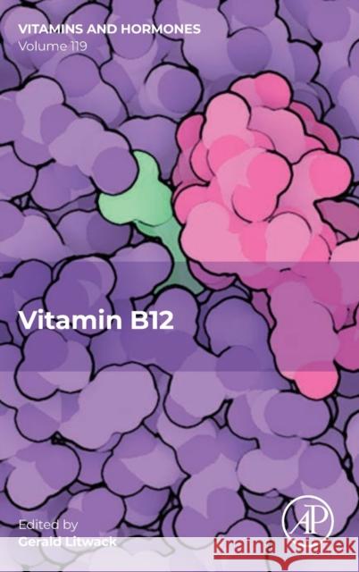 Vitamin B12: Volume 119 Litwack, Gerald 9780323992237 Academic Press - książka