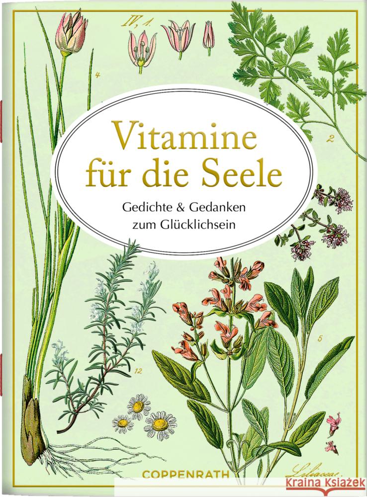 Vitamine für die Seele  9783649648918 Coppenrath, Münster - książka