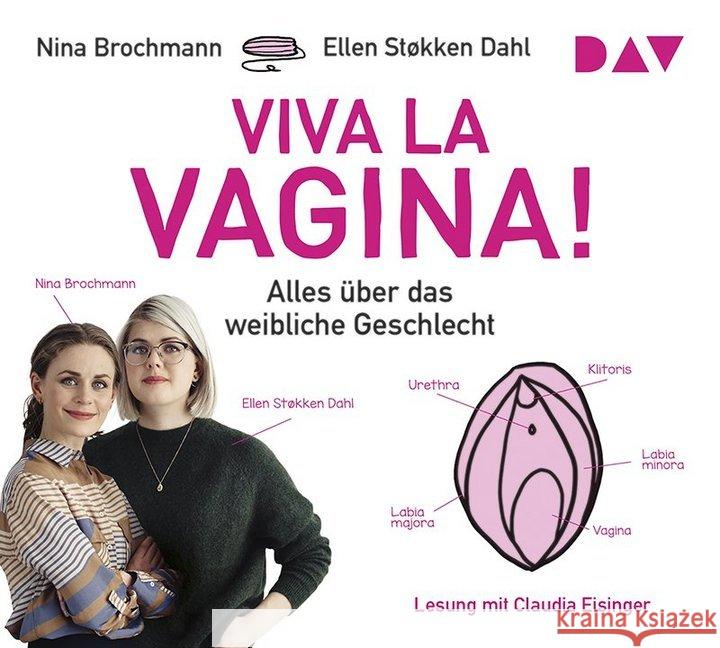 Viva la Vagina! Alles über das weibliche Geschlecht, 4 Audio-CDs : Lesung Brochmann, Nina; Støkken Dahl, Ellen 9783742405135 Der Audio Verlag, DAV - książka