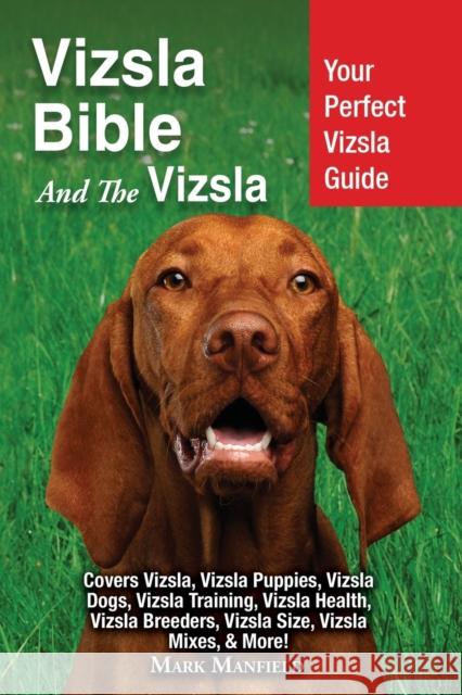 Vizsla Bible And the Vizsla: Your Perfect Vizsla Guide Covers Vizsla, Vizsla Puppies, Vizsla Dogs, Vizsla Training, Vizsla Health, Vizsla Breeders, Manfield, Mark 9781911355618 Dym Worldwide Publishers - książka