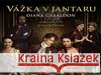 Vážka v jantaru Diana Gabaldon 8594169486031 OneHotBook - książka