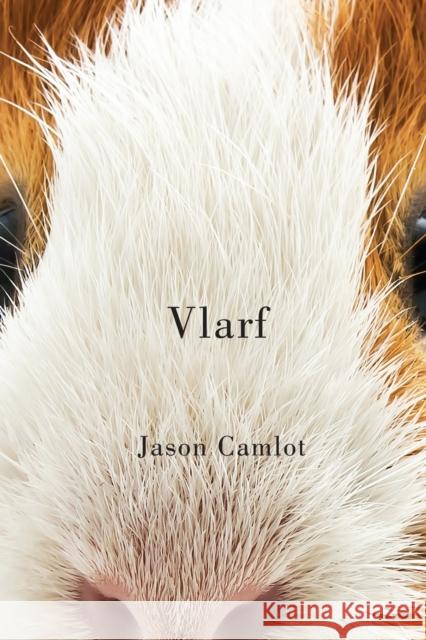 Vlarf: Volume 66 Camlot, Jason 9780228008132 McGill-Queen's University Press - książka