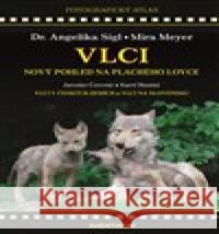 Vlci Karel Šťastný 9788074421211 Aventinum - książka