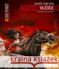 Vlčice Zdeněk Žemlička 9788074252495 Epocha - książka