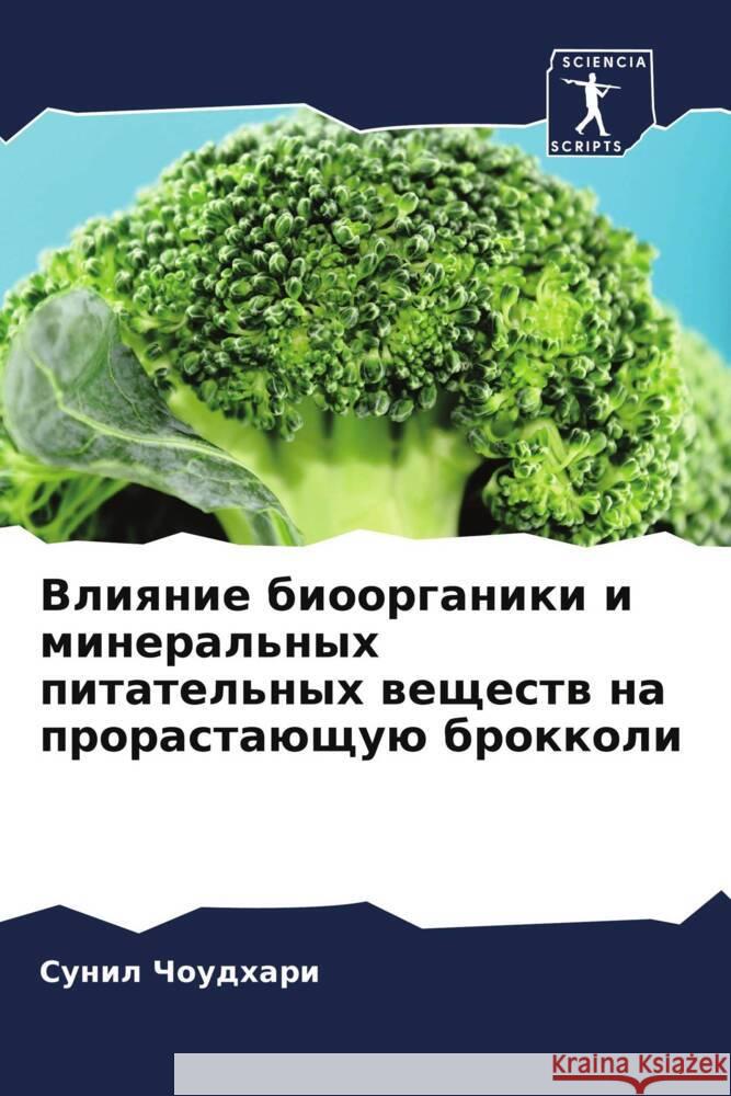 Vliqnie bioorganiki i mineral'nyh pitatel'nyh weschestw na prorastaüschuü brokkoli Choudhari, Sunil 9786205564400 Sciencia Scripts - książka