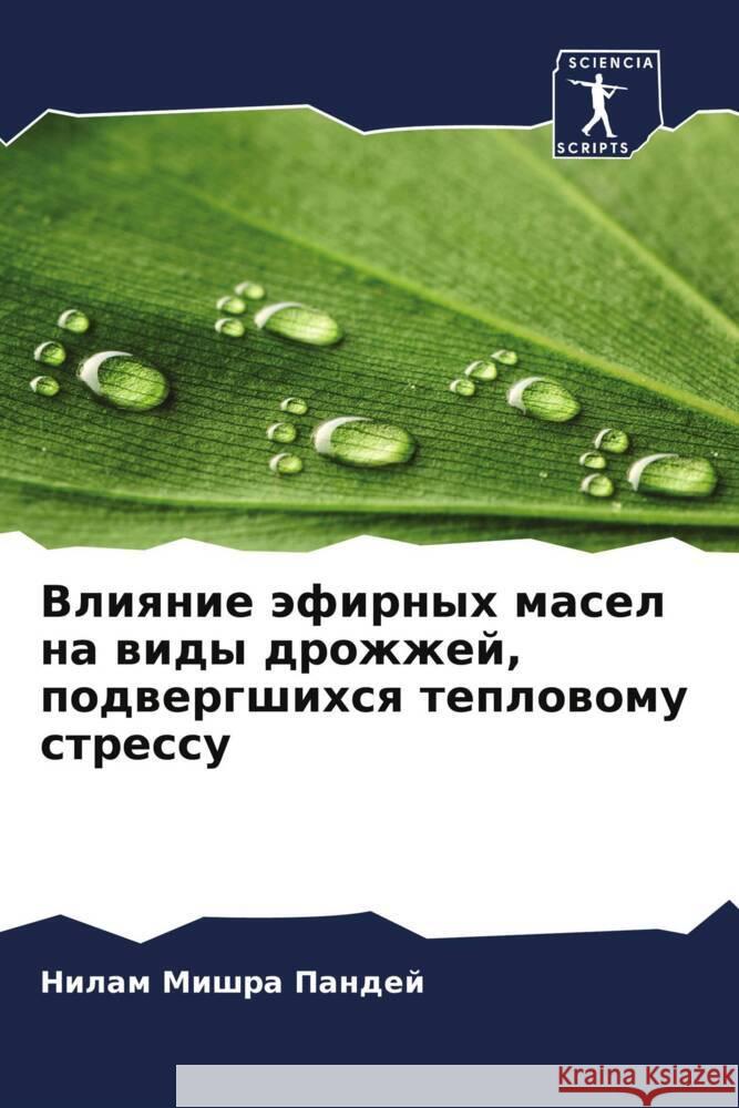 Vliqnie äfirnyh masel na widy drozhzhej, podwergshihsq teplowomu stressu Mishra Pandej, Nilam 9786208573102 Sciencia Scripts - książka