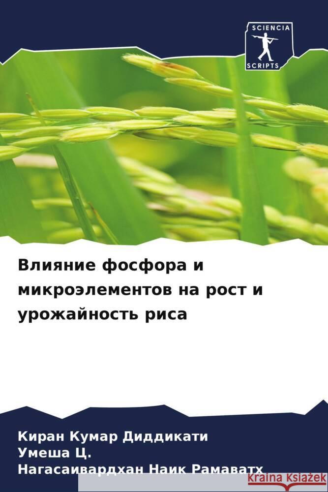 Vliqnie fosfora i mikroälementow na rost i urozhajnost' risa Diddikati, Kiran Kumar, C., Umesha, Ramawath, Nagasaiwardhan Naik 9786206934639 Sciencia Scripts - książka