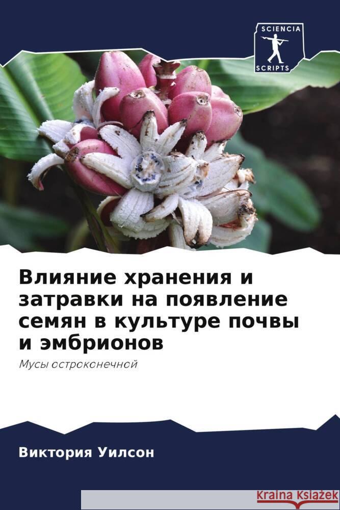 Vliqnie hraneniq i zatrawki na poqwlenie semqn w kul'ture pochwy i ämbrionow Uilson, Viktoriq 9786204508603 Sciencia Scripts - książka