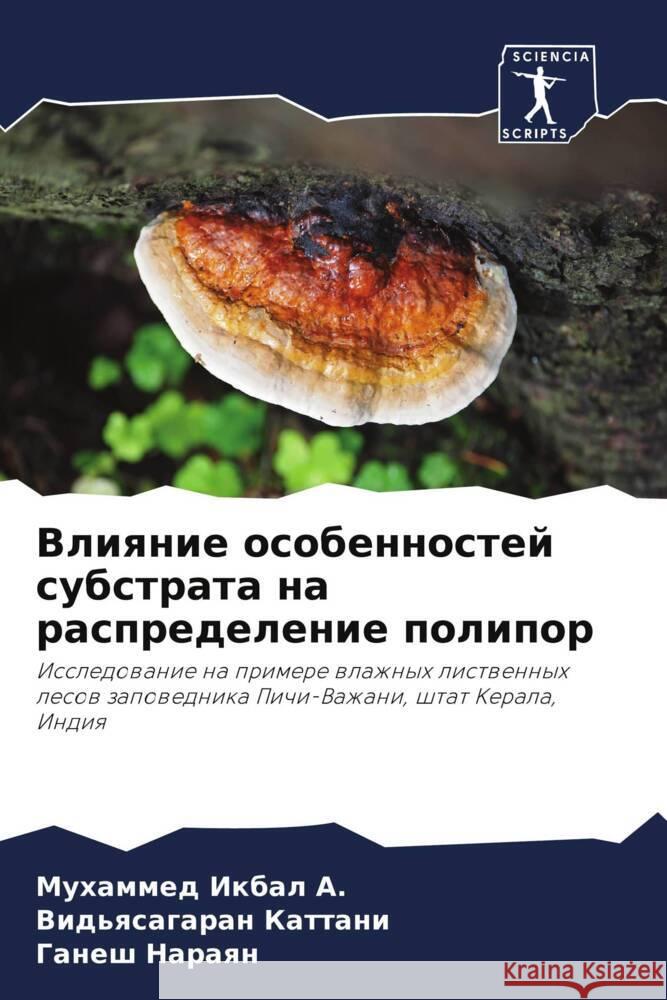 Vliqnie osobennostej substrata na raspredelenie polipor Ikbal A., Muhammed, Kattani, Vid'qsagaran, Naraqn, Ganesh 9786205416617 Sciencia Scripts - książka