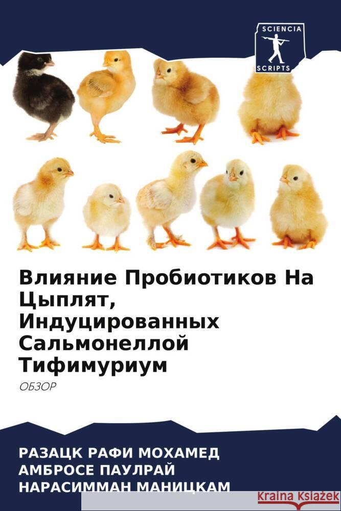 Vliqnie Probiotikow Na Cyplqt, Inducirowannyh Sal'monelloj Tifimurium RAFI MOHAMED, RAZACK, PAULRAJ, AMBROSE, Manickam, Narasimman 9786206956990 Sciencia Scripts - książka