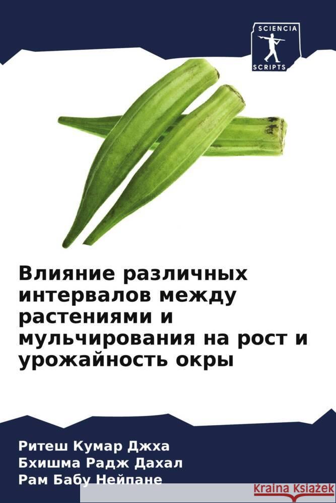 Vliqnie razlichnyh interwalow mezhdu rasteniqmi i mul'chirowaniq na rost i urozhajnost' okry Dzhha, Ritesh Kumar, Dahal, Bhishma Radzh, Nejpane, Ram Babu 9786204534411 Sciencia Scripts - książka