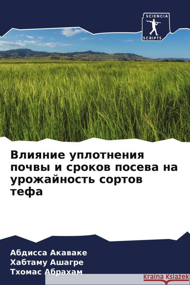 Vliqnie uplotneniq pochwy i srokow posewa na urozhajnost' sortow tefa Akawake, Abdissa, Ashagre, Habtamu, Abraham, Thomas 9786205221716 Sciencia Scripts - książka