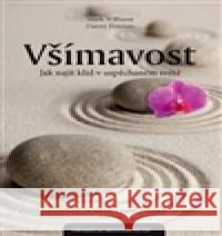 Všímavost Mark Williams 9788072639069 Anag - książka