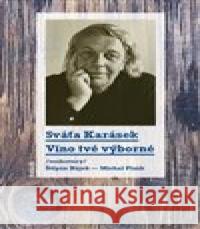Víno tvé výborné Michal Plzák 9788070172902 Kalich - książka