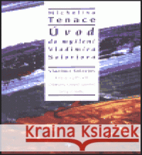 Úvod do myšlení Vladimíra Solovjova Michelina Tenace 9788086045559  - książka