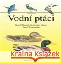 Vodní ptáci Pavel Procházka 9788074421136 Aventinum - książka