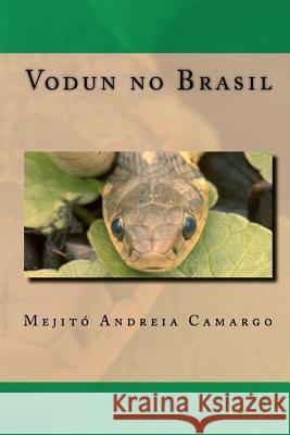 Vodun no Brasil Camargo, Mejito Andreia 9781461049012 Createspace - książka