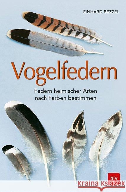 Vogelfedern : Federn heimischer Arten nach Farben bestimmen Bezzel, Einhard 9783835418288 BLV Buchverlag - książka