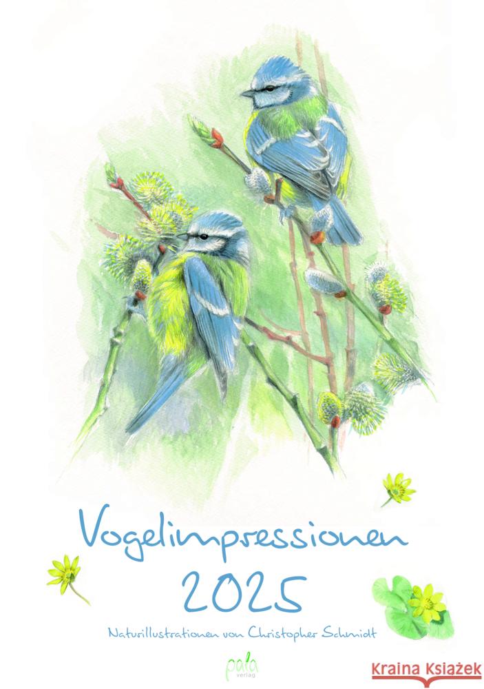 Vogelimpressionen 2025 Schmidt, Christopher 9783895664373 Pala-Verlag - książka