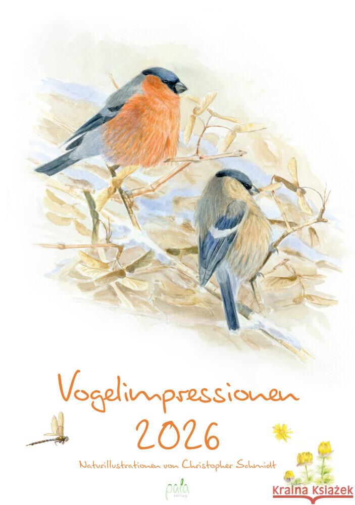 Vogelimpressionen 2026 Schmidt, Christopher 9783895664472 Pala-Verlag - książka