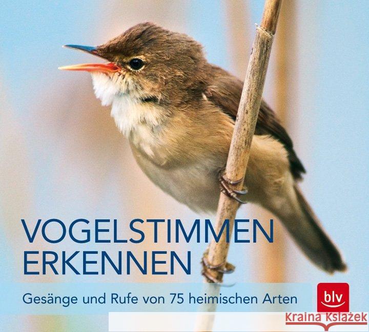 Vogelstimmen erkennen, Audio-CD : Gesänge und Rufe von 75 heimischen Arten Schulze, Andreas 9783835416208 BLV Buchverlag - książka