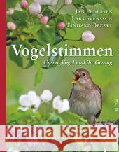 Vogelstimmen, m. Abspielgerät : Unsere Vögel und ihr Gesang. Mit 186 Hörbeispielen Pedersen, Jan; Svensson, Lars 9783890294223 Malik - książka
