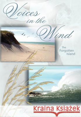 Voices in the Wind: The Forgotten Island Faulkner, Shirley Walters 9781418485429 Authorhouse - książka