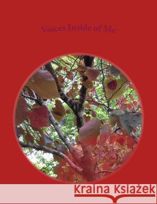 Voices Inside of Me: Voices Please Go Away Shirley a. Long 9781519265722 Createspace - książka