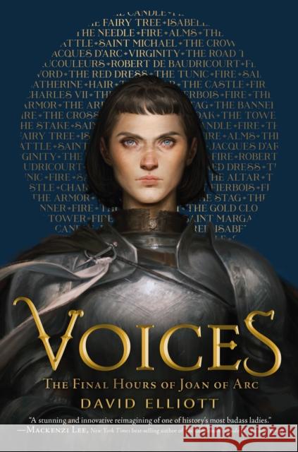 Voices: The Final Hours of Joan of Arc David Elliott 9780358452089 Houghton Mifflin - książka