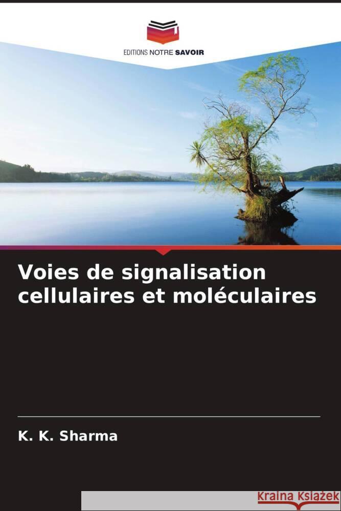 Voies de signalisation cellulaires et mol?culaires K. K. Sharma Ritu Gupta 9786205200094 Editions Notre Savoir - książka