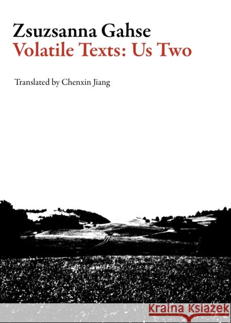 Volatile Texts: Us Two Zsuzsanna Gahse Chenxin Jiang 9781628971361 Dalkey Archive Press - książka