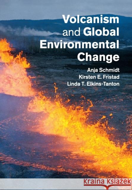 Volcanism and Global Environmental Change Anja Schmidt Kirsten E. Fristad Linda T. Elkins-Tanton 9781107633544 Cambridge University Press - książka