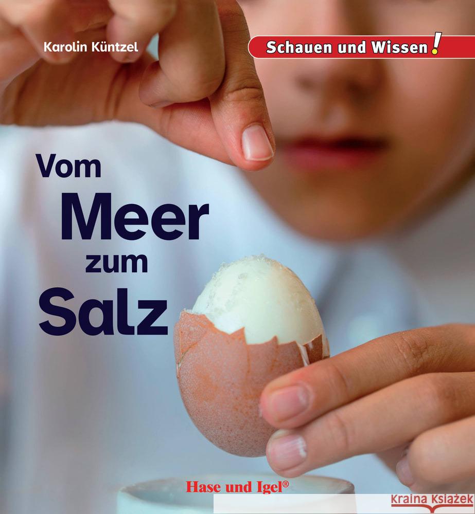 Vom Meer zum Salz Küntzel, Karolin 9783863165062 Hase und Igel - książka
