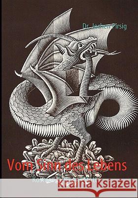 Vom Sinn des Lebens: Kosmos, Sein und Gott Jochen Pirsig 9783837069631 Books on Demand - książka