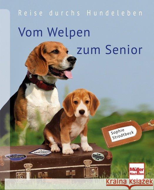 Vom Welpen zum Senior : Reise durchs Hundeleben Strodtbeck, Sophie 9783275020140 Müller Rüschlikon - książka