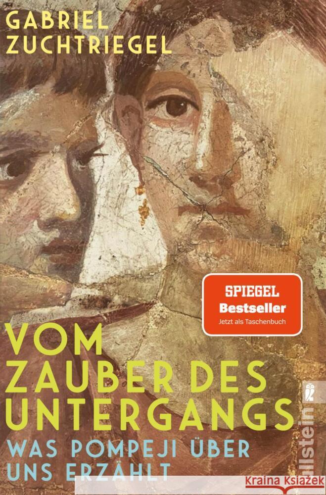 Vom Zauber des Untergangs Zuchtriegel, Gabriel 9783548069913 Ullstein TB - książka