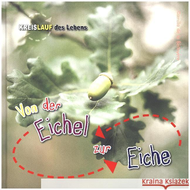 Von der Eichel zur Eiche : Besteht aus: 1 Buch, 1 E-Book Bedoyere, Camilla de la 9789461754264 BVK Buch Verlag Kempen - książka