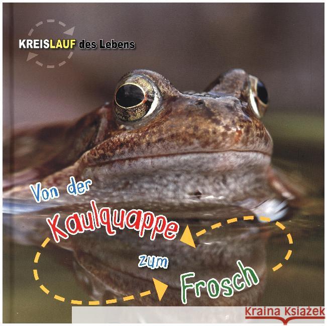 Von der Kaulquappe zum Frosch : Besteht aus: 1 Buch, 1 E-Book Bedoyere, Camilla de la 9789461754233 BVK Buch Verlag Kempen - książka