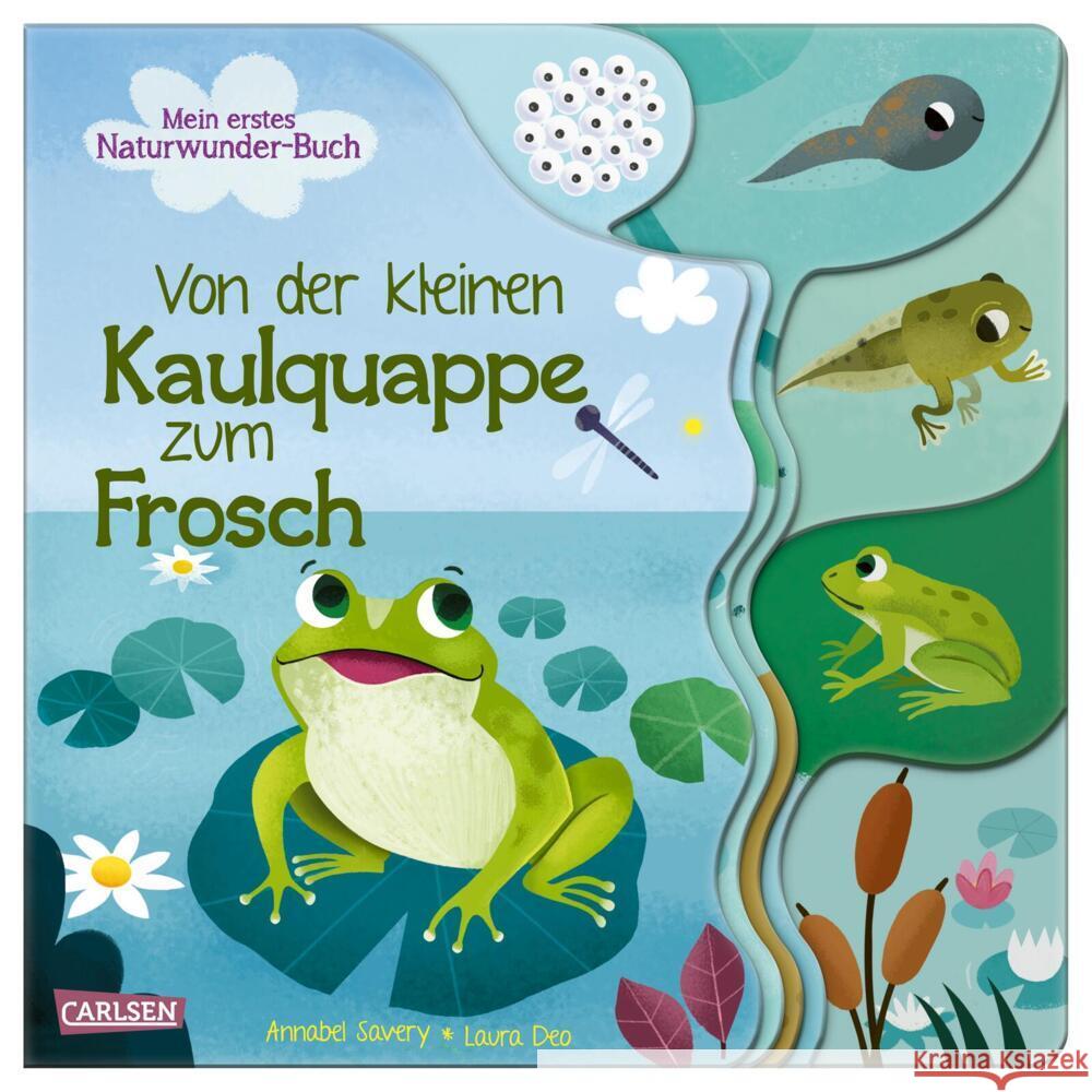 Von der kleinen Kaulquappe zum Frosch Savery, Annabel 9783551172198 Carlsen - książka