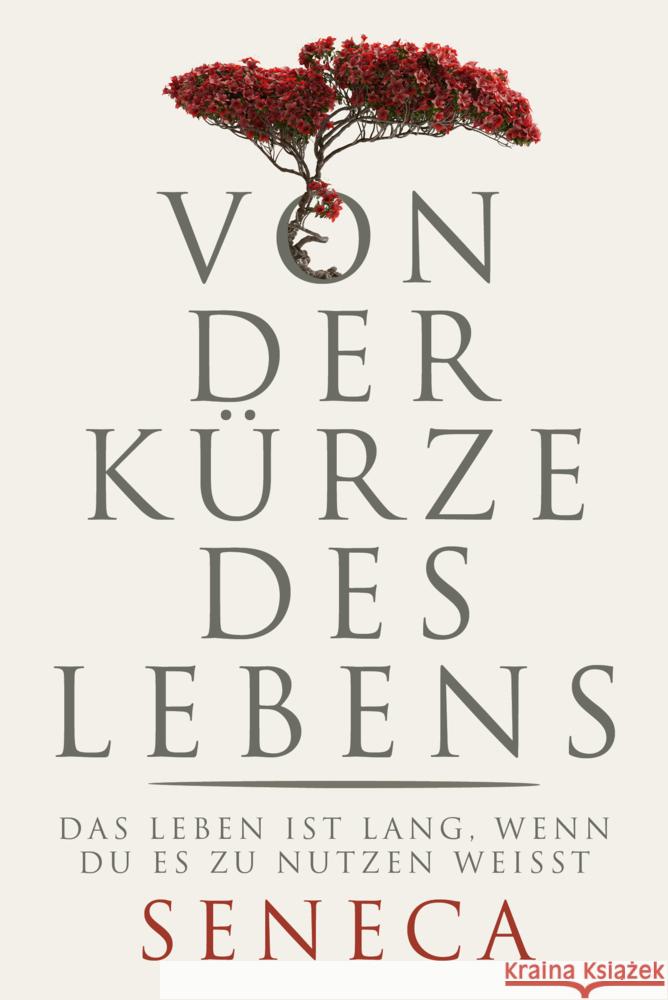 Von der Kürze des Lebens Seneca, der Jüngere 9783959726740 FinanzBuch Verlag - książka