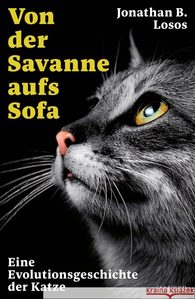 Von der Savanne aufs Sofa Losos, Jonathan B. 9783446277632 Hanser - książka