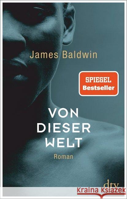 Von dieser Welt : Roman. Helmut-M.-Braem-Übersetzerpreis 2020 Baldwin, James 9783423147255 DTV - książka