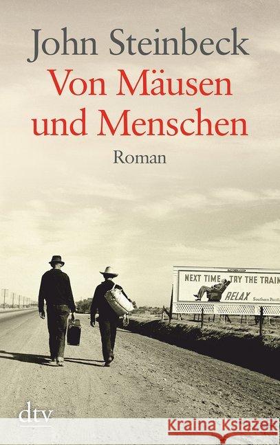 Von Mäusen und Menschen : Roman Steinbeck, John 9783423253970 DTV - książka