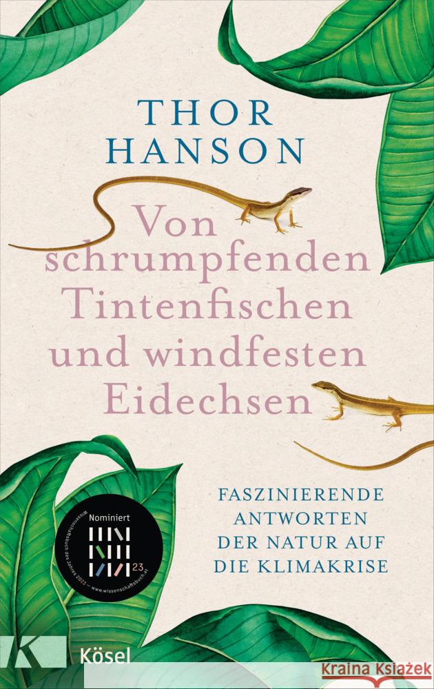Von schrumpfenden Tintenfischen und windfesten Eidechsen Hanson, Thor 9783466372898 Kösel - książka
