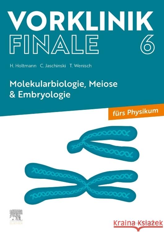 Vorklinik Finale 6 Holtmann, Henrik, Jaschinski, Christoph, Wenisch, Thomas 9783437442605 Elsevier, München - książka