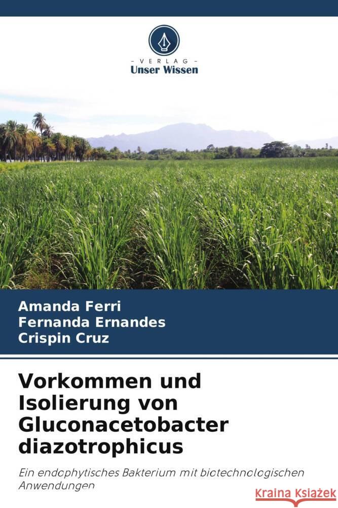 Vorkommen und Isolierung von Gluconacetobacter diazotrophicus Ferri, Amanda, Ernandes, Fernanda, Cruz, Crispin 9786203910308 Verlag Unser Wissen - książka