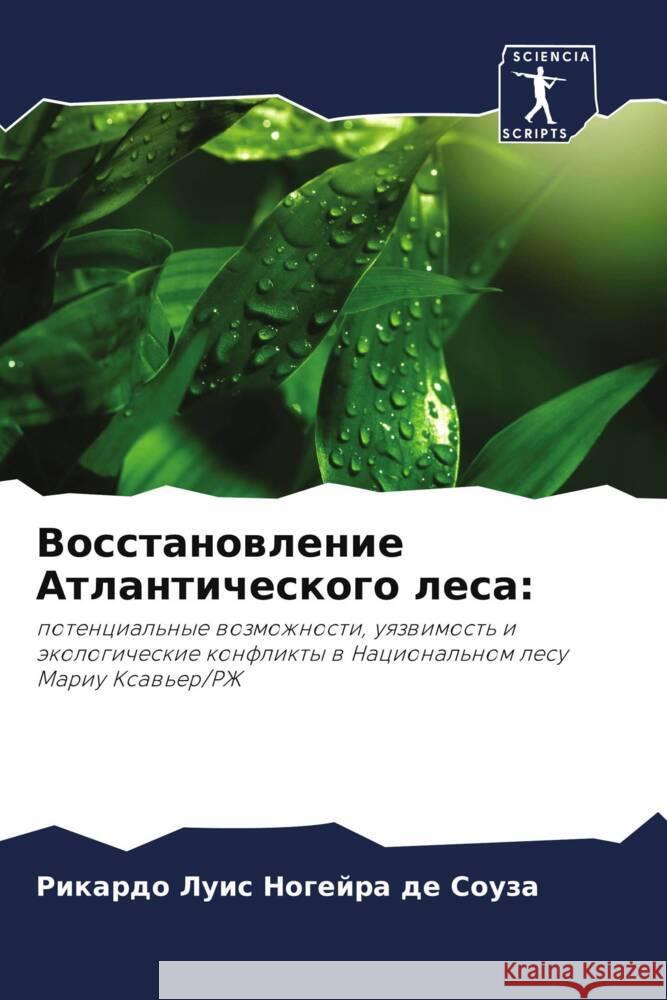 Vosstanowlenie Atlanticheskogo lesa: Luis Nogejra de Souza, Rikardo 9786207972944 Sciencia Scripts - książka
